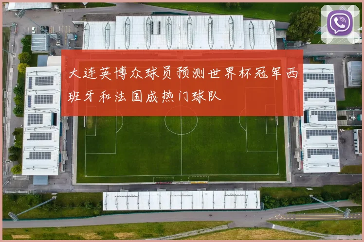 大连英博众球员预测世界杯冠军西班牙和法国成热门球队